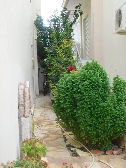 Studio Epicuros Nafplion Exteriör bild