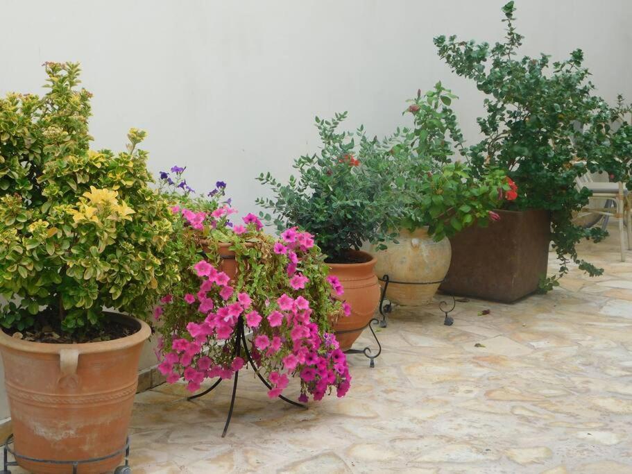 Studio Epicuros Nafplion Exteriör bild